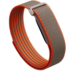 Google Fitbit Air-Special Edition